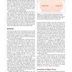 Autologous Fat Grafting for Breast Augmentation in Underweight Women