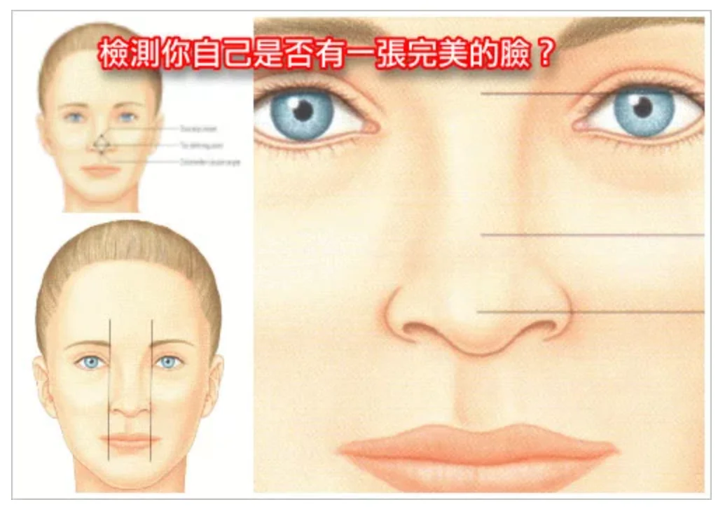 4大隆鼻手術神奇變革:雕刻立體美鼻,五官再升級! 6 隆鼻手術:雕刻立體美鼻 五官再升級