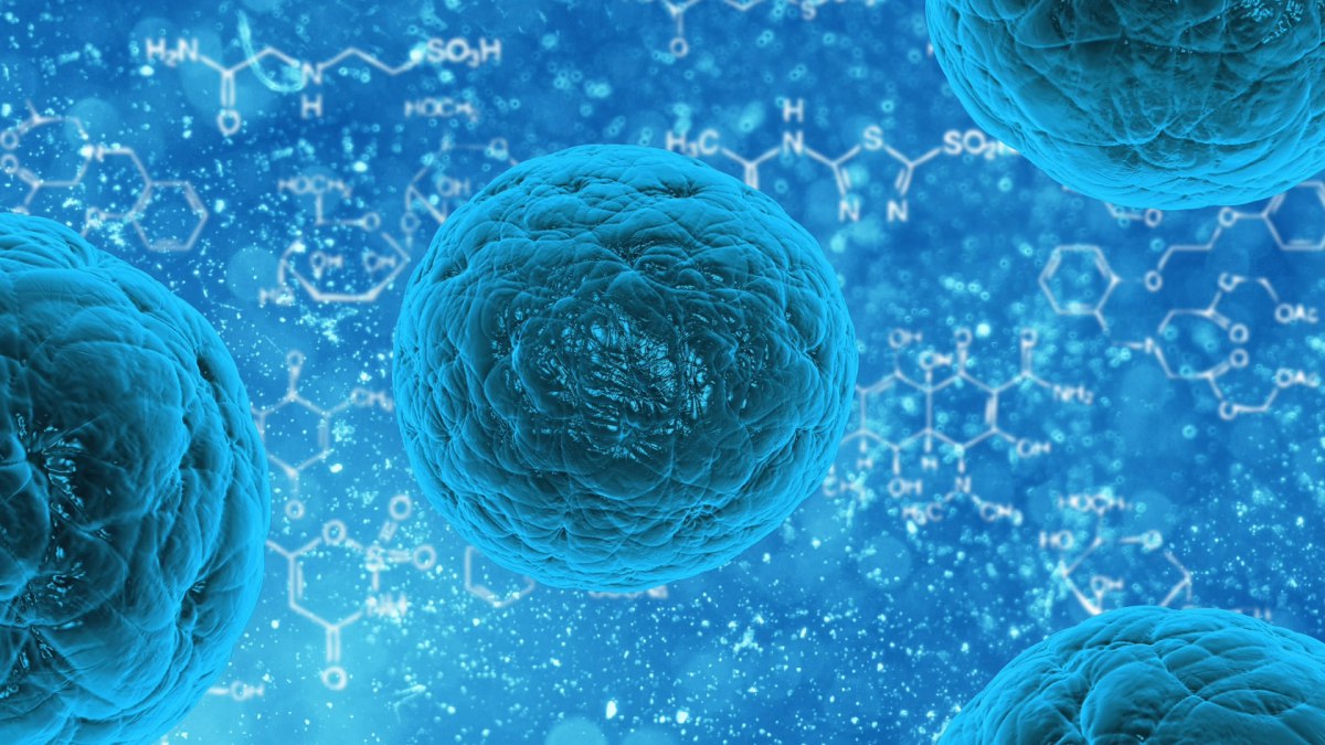 幹細胞是一種具有分化再生能力的細胞