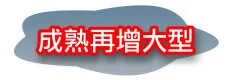 隆乳豐胸最佳選擇:自體脂肪隆乳 68 隆乳,自體脂肪隆乳,自體隆乳 成熟再增大型