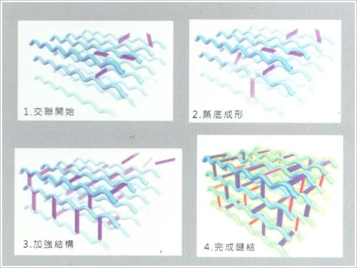 水微晶獨特的CHAP專利，令其有更持久的填充效果