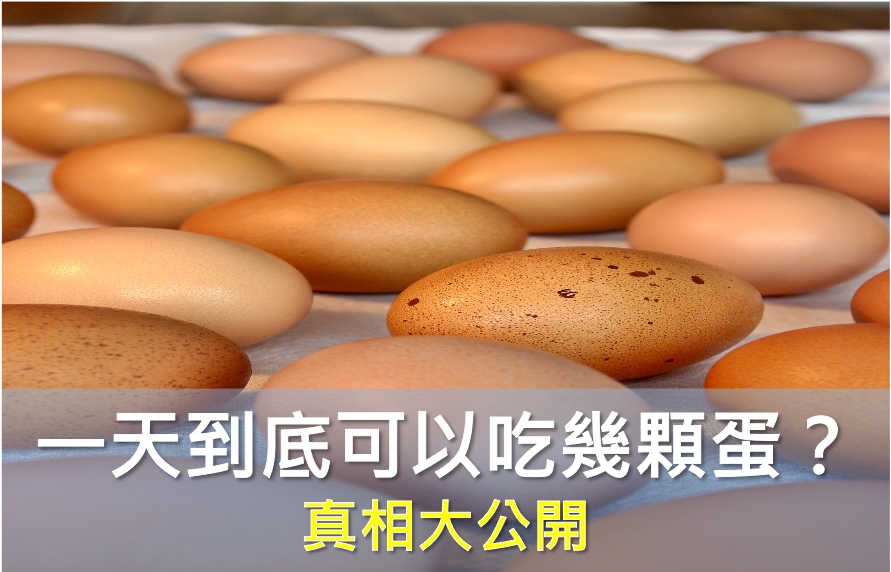 一天最多吃幾顆蛋