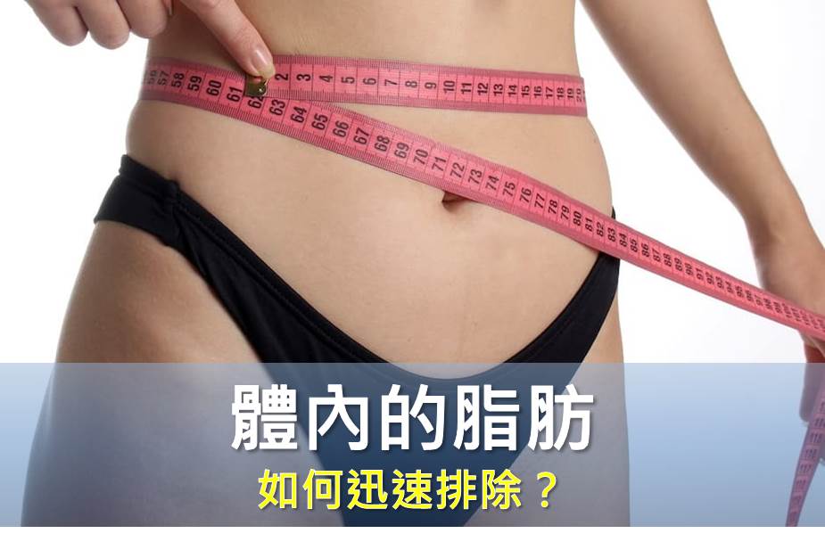 如何用健康的方式將「體內的脂肪」迅速排除？