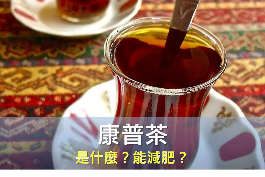 歐美名流間爆紅的康普茶有何特點？