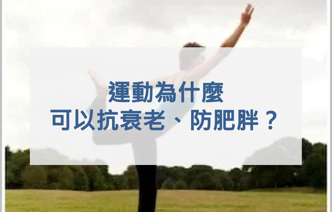 運動為什麼可以抗衰老、防肥胖？