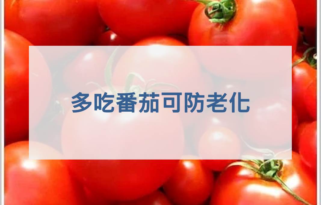 多吃番茄可防老化