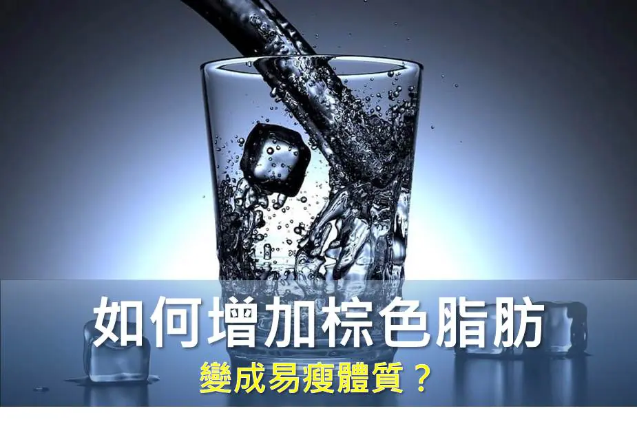 如何增加棕色脂肪，變成易瘦體質？