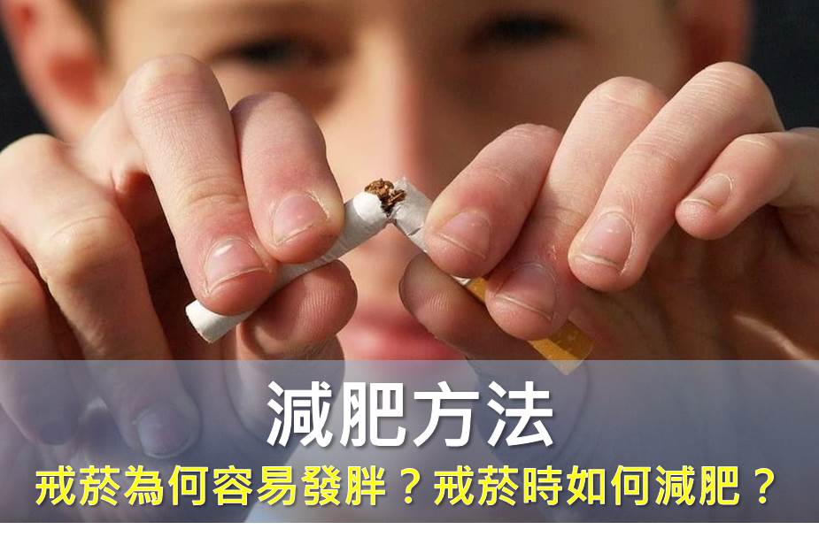 戒菸為何容易發胖？ 戒菸時如何減肥？