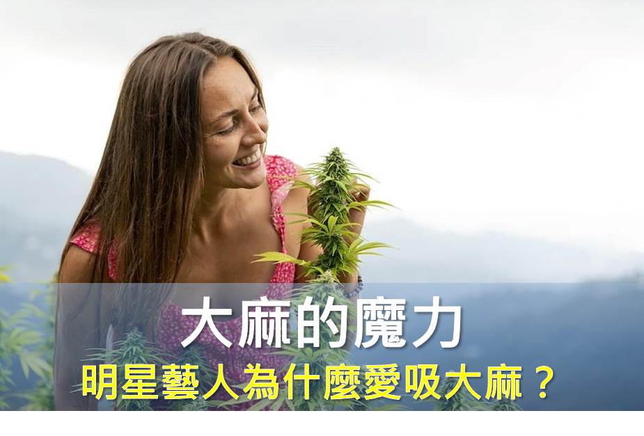 網紅販賣大麻，明星藝人為什麼愛吸大麻？