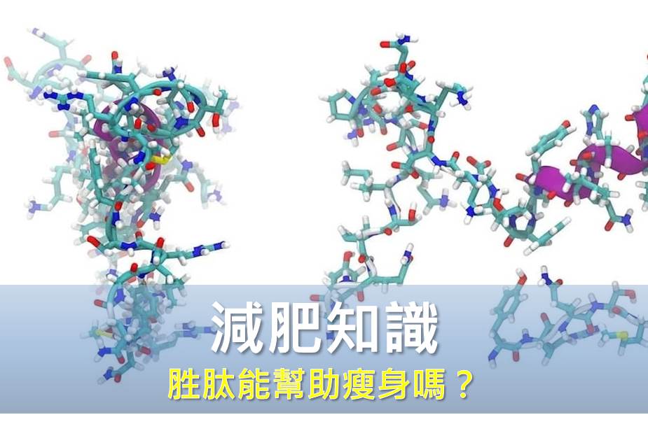 服用胜肽能幫助瘦身嗎？使用時機對了才有助減肥！