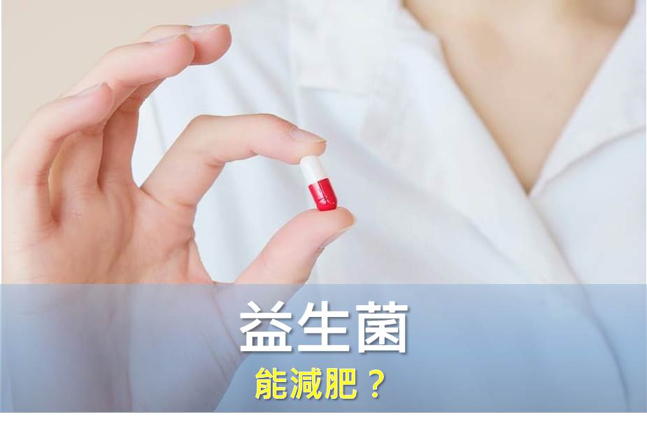 瘦不下來是益生菌不足嗎？吃益生菌能減肥嗎？