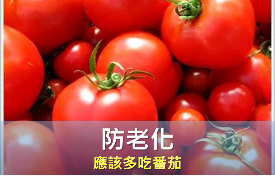 多吃番茄可防老化