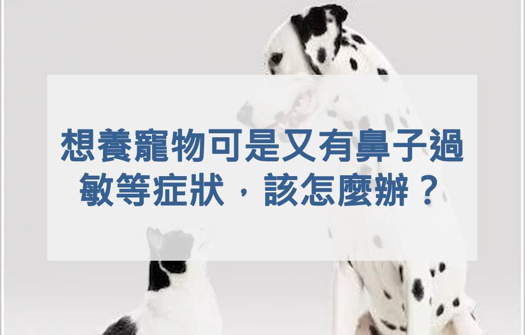 喜歡養貓咪或小狗等寵物，可是又有鼻子過敏等症狀，該怎麼辦？