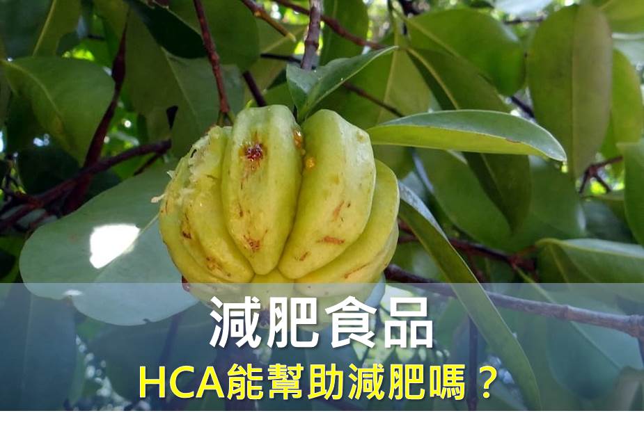 HCA 羥基檸檬酸能幫助減肥嗎？吃多了會傷腎嗎？